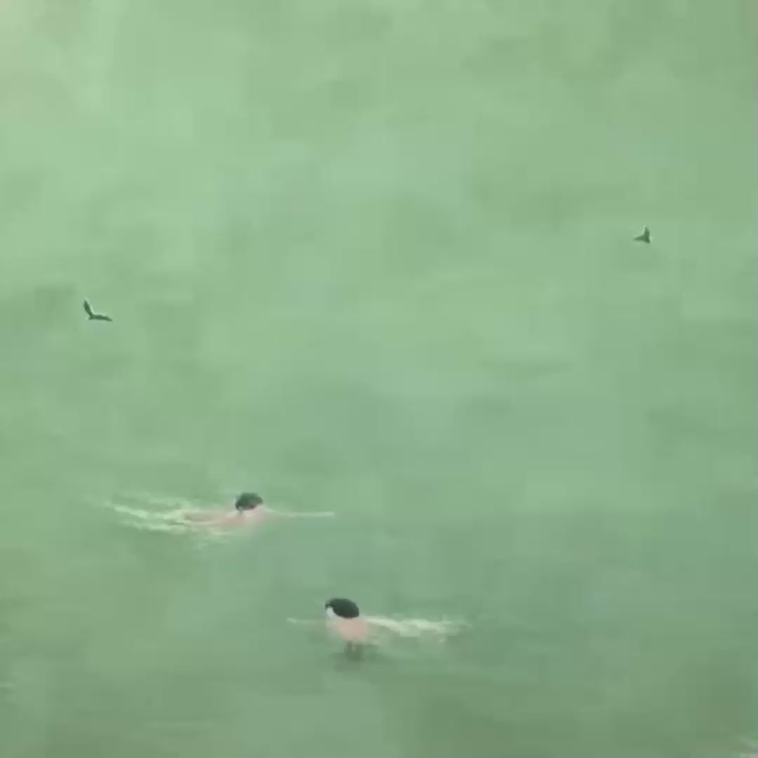 TIDAL GLIDE: Minimalist Swimmer Sports Oil Painting - Image 3