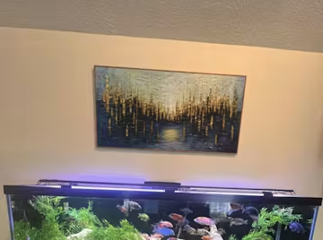 GOLDEN FOREST REFLECTION: Textured Landscape Oil Painting photo review