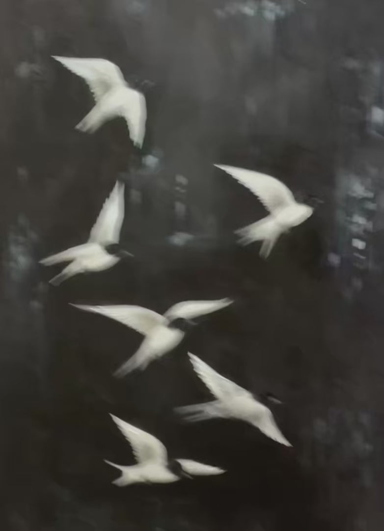 FLIGHT: Minimalist Birds in Flight Oil Painting - Image 4