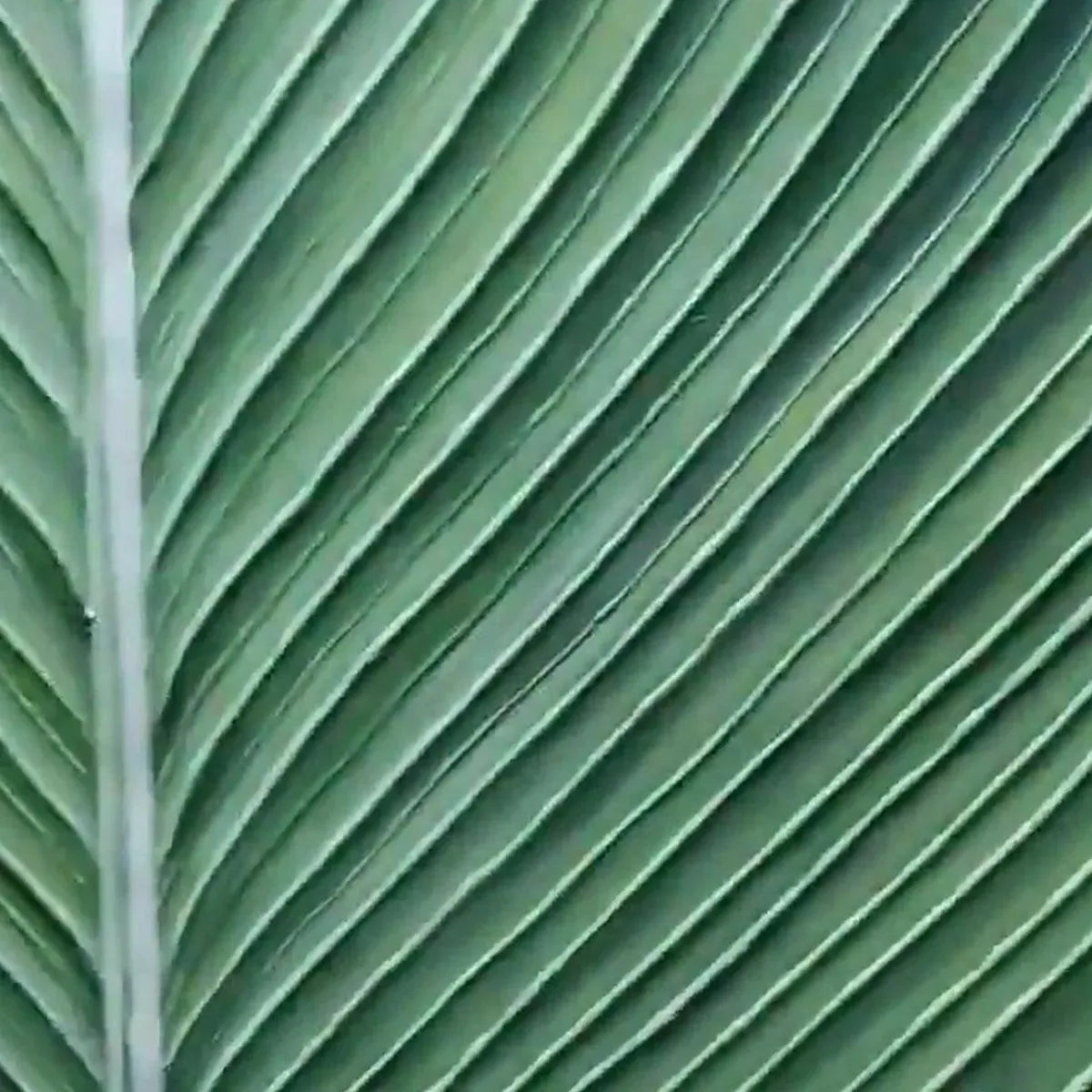 TROPICAL SERENITY: Minimalist Botanical Painting, Green Leaf Wall Art, Vertical Canvas - Image 6
