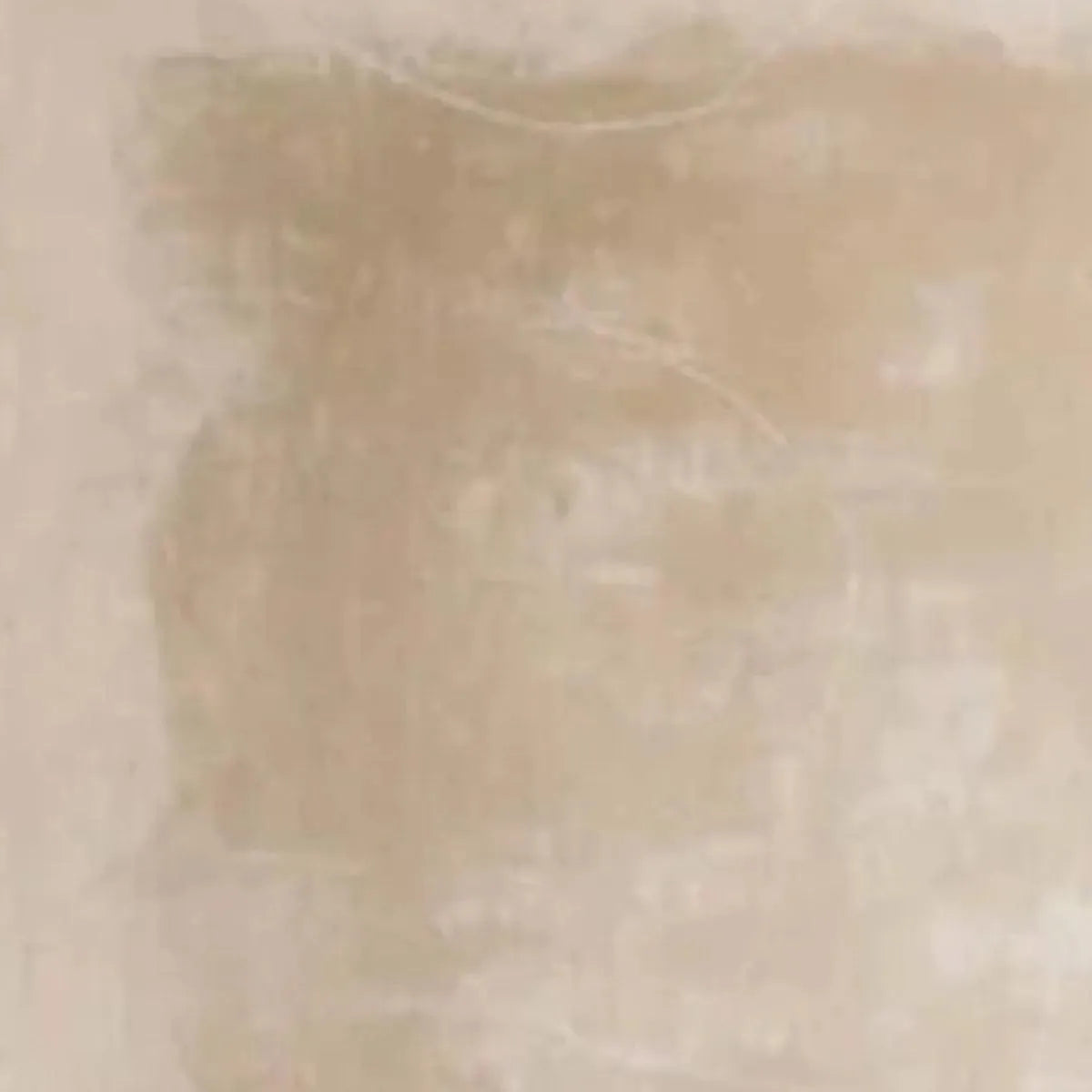 DESERT SANDS: Minimalist Textured Painting in Beige - Image 3