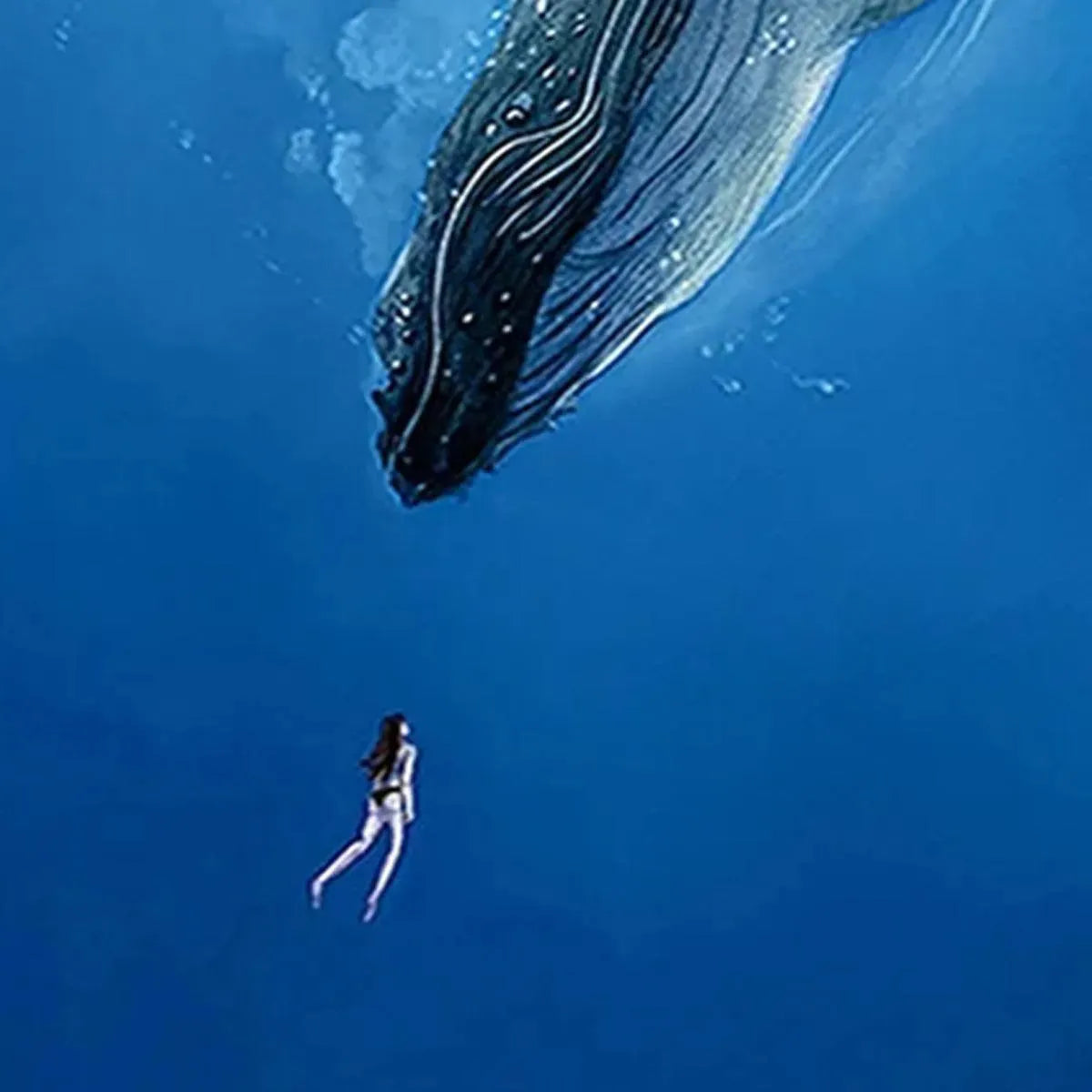 WHALE ENCOUNTER: Majestic Whale and Diver Painting, Vertical Wall Art - Image 8